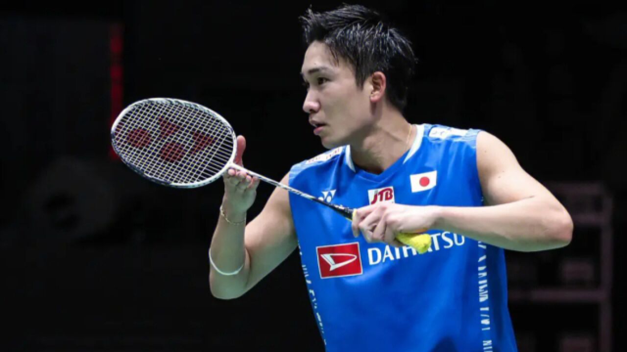 开云体育APP下载-韩国队完胜德国队，桃田贤斗惊艳四座