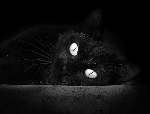 跨洋对决，广厦鏖战火箭，利拉德西决式接管定乾坤