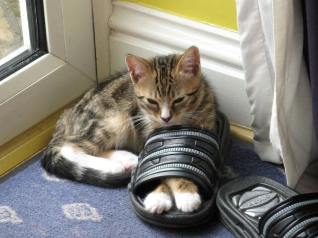 阿坎吉化身后防棋手，曼城步步为营压制土耳其狂想