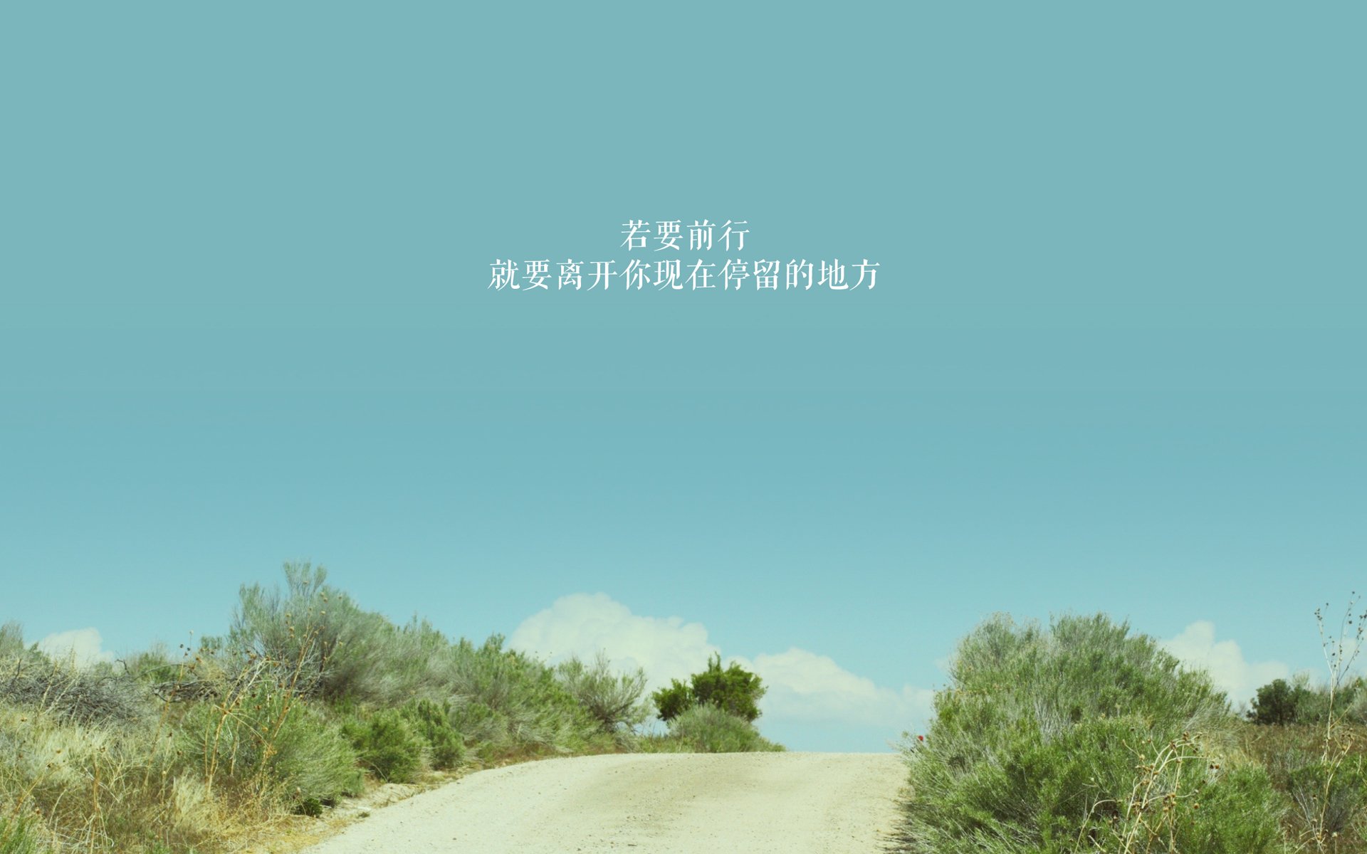 胜负之间，攻防之魂，罗德里戈如何成为新西兰对阵埃及的核心引擎